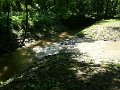 Alcsutdobozi arboretum - patakok talakozasa
